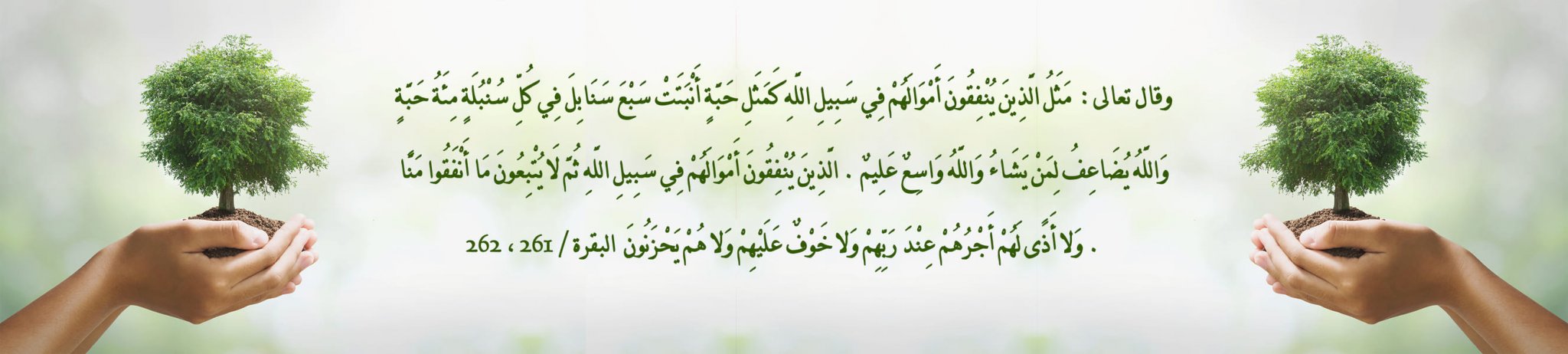 جمعية المرأة والطاقة